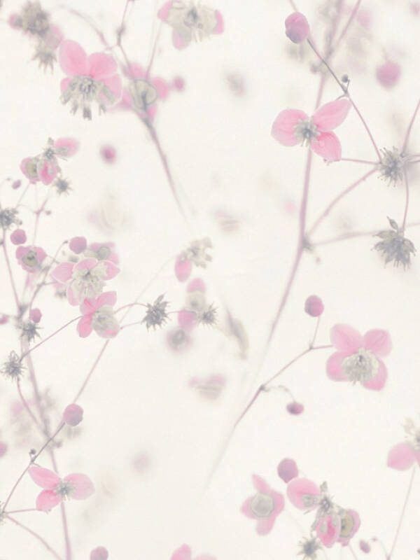 A.S. CRÉATION WALLPAPER «FLORAL, GREY, PINK, WHITE» 387264
