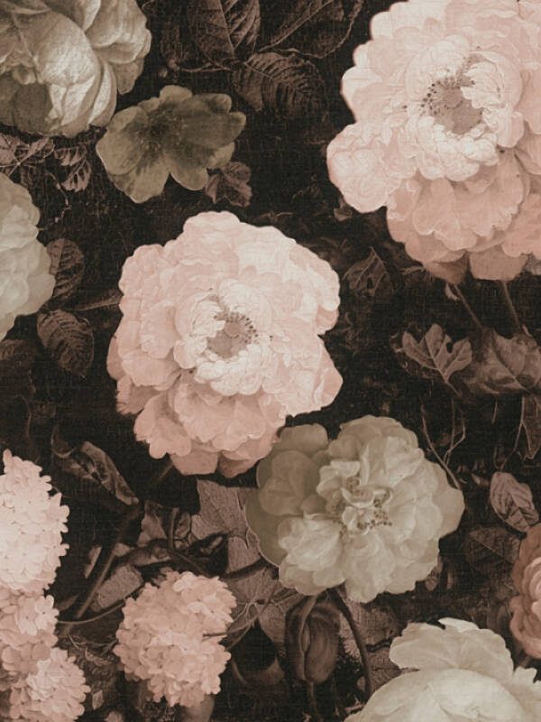 A.S. Création Wallpaper «Floral, Black, Cream, Pink» 376504