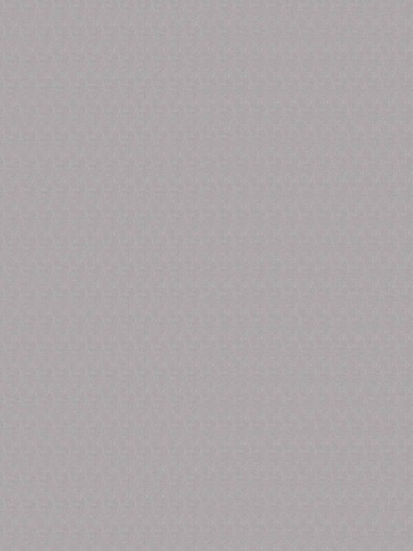 Karl Lagerfeld Wallpaper «Uni, Grey» 378506